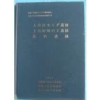 **^ сверху . рисовое поле momida. следы * сверху . рисовое поле река. шт . следы * птица внутри . следы государственная трасса 1 номер Fujieda байпас ( Fujieda район ). магазин культура состояние departure . исследование комментарий документ no. 6