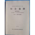 **^ Shizuoka префектура . магазин культура состояние исследование изучение место исследование комментарий no. 41 сборник Kawai . следы . предмет сборник 1 ( гончарные изделия * земля товар map версия сборник ) эпоха Heisei 3 отчетный год тихий Kiyoshi байпас ( Kawai район )