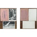 ( открытка с видом 547) земля . Special производство длина хвост курица открытка с видом 2 листов пакет есть битва передний 