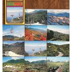 ( открытка с видом 589).. цубо двор 11 листов с футляром Showa . штук пик средний доверие высота . национальный парк 