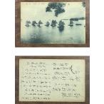 ( открытка с видом 654) сосна . пейзаж . просмотр судно выгорел битва передний en шина 