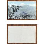 ( открытка с видом 847) длина хвост перевал no Fuji память штамп битва передний 