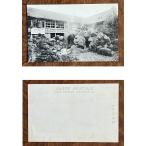 ( открытка с видом 874). море название . пар промежуток . нет ... большой горячая вода ...( промежуток нет Izumi ) битва передний 