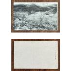 ( открытка с видом 880). бобы название место . море слива . битва передний 