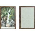 ( открытка с видом 941)... .. клен. . цвет ..... ..... . битва передний 