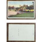 ( открытка с видом 953) легко . сад битва передний Shiga префектура Hikone легко . выпуск 