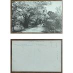 ( открытка с видом 983) Sakura. название .. река . битва передний три слоя префектура Исэ город 