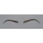 医療用 女性用 付け眉毛 眉 アイブロー かつら ウィッグ ダークブラウン 海外セレブ型 #1