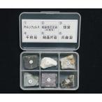 ��ΕW�{ ��ΕW�{�ϐ���6�� �����T�C�G���X  (3-657-03)