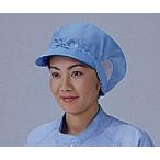  clean колпак голубой FREE clean мойка settled az one FD450C-02 FREE CIC (6-7551-02-78)