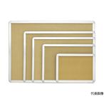 アケパネB1サイズ プラチナ万年筆 ADB1-15000SC (61-3282-22)