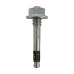  ногти якорь FNA2 6X30 M6/10 100 шт. входит Fischer Japan 46022 (62-2409-49)