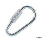 nas type Mini catch stain одна сторона винт модель 2.5mm 2 штук Trusco Nakayama TDRC-2.5 (62-2598-70)