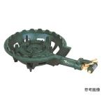 鋳物コンロ TS-210 13A (62-8234-54)