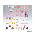 フードモデル 獣鳥肉�