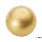  Neo Jim магнит мяч type наружный диаметр 10mm Gold 1 штук Trusco Nakayama NB10-GL (62-8969-89)
