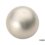  Neo Jim магнит мяч type наружный диаметр 10mm серебряный 1 штук Trusco Nakayama NB10-SV (62-8969-90)
