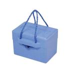  вспененный cooler-box 8L CAPTAIN STAG M-8169 (63-7312-83)