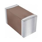 積層セラミックコンデンサ MLCC ,0.01μF 100V dc ±5％ 1袋 100個入 (63-8441-01)