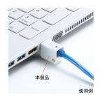 LAN кабель блокировка Sanwa Supply SL-78 (64-0896-82)
