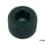  конус отходит штекер SP3 steel чёрный окраска PT1/4 15 штук Trusco Nakayama Y1083-0114 (64-8781-34)