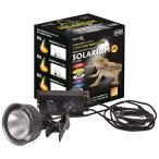ゼンスイ ソラリウムセット (メタルハライドランプ+灯具) 50W - 最安値