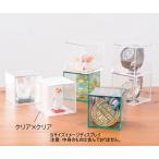 ミノルキューブ S クリア×クリア 100個入り ミノル化学工業  (64-8812-17)