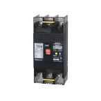  утечка электро- блокировка контейнер 150A W2 200-415V тонн жемчуг промышленность 153EC15W24 (65-0285-03)