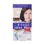 ダリヤ サロンドプロ 無香料ヘアカラー 早染めクリーム 6ダークブラウン 白髪用 40g+40g  (65-5784-95)