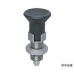  указатель плунжер -kipp NDXN20LW-SUS (65-5954-13)