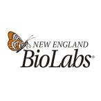 Ph.D.-12 Phage Display Peptide Library Kit v2 BioLabs E8210S (65-8285-65)