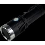 LED черный свет 20W Land Mark Japan 365UV20 (67-2183-05)