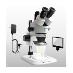 C крепление zoom тип реальный body микроскоп три futoshi C + W-EPLUS микро сеть YS03C+W-EPLUS (67-2519-99)