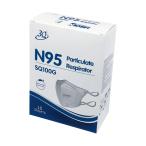 3Q個包装マスク N95 10枚入 641731 (67-3053-15)
