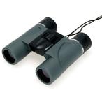 SG-H 10倍24mm口径双眼鏡 ケンコー・ト