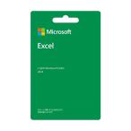 Microsoft Excel 2024 最新 永続版 POSAカード版 Windows11、10/mac対応 PC2台