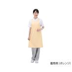 륹ץ Dr.EarthTM ݤ եۥ磻 拾 E3500-0T (7-780-01)
