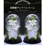新盆 初盆 仏花 プリザーブドフラワー お供え 1対 お供え花 ブリザードフラワー 仏壇用 法事 供花 御供 胡蝶蘭【対デザイン デンファレドーム 】