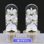 新盆 初盆 仏花 プリザーブドフラワー お供え 1対 ガラス ドーム 仏壇用 ブリザードフラワー 花 御供 アートフォーシーズン【対デザイン 胡蝶蘭Glass】