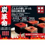 炭革命 BBQ用木炭 お手頃パック 12個入り（3個入り×4）