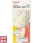 【送料無料(ポスト投函)】 ピジョン 母乳実感 乳首ブラシ 2本入 【Pigeon 乳首ブラシ ベビー用品 出産準備】