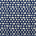  Prairie собака furoshiki Medama жарение размер : примерно 100×100cm