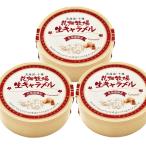 花畑牧場　生キャラメル プレーン（常温タイプ） 64g 3個セット