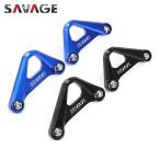 BMW S1000RR HP4 двойная подножка для blank plate одиночный сиденье .