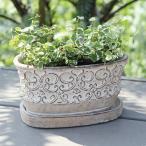 植木鉢 おしゃれ アンティーク クララオーバルポットS＜ 19cm x 10cm 楕円 底穴あり 受け皿付き 白 ホワイト ベージュ セメント プランター 室内 屋外 観葉植物