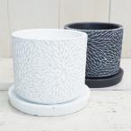 植木鉢 おしゃれ セメント サザナミシリンダー (2色) 10.5cm 3.5号 底穴あり 受け皿付 鉢 室内 屋外 鉢植え 観葉植物 多肉植物 塊根
