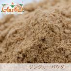 ジンジャーパウダー 500g 常温便 Ginger Powder