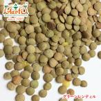  зеленый Len tiru100g Green Lentil