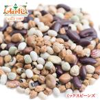 ミックスビーンズ 10kg(1kg ×10袋) 乾燥豆 送料無料