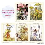 シャドープリント 何が入っているかお楽しみ! ランダム5種類セット FLOWER FAIRIES メール便/宅配便可